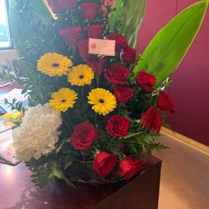 Meet your Posher, Rodriguez